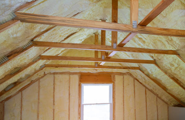 Best Insulation Removal  in Lavalette, WV