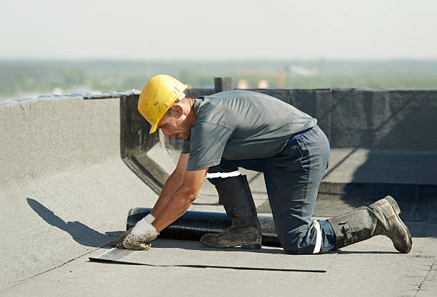 Best Energy-efficient Insulation  in Lavalette, WV