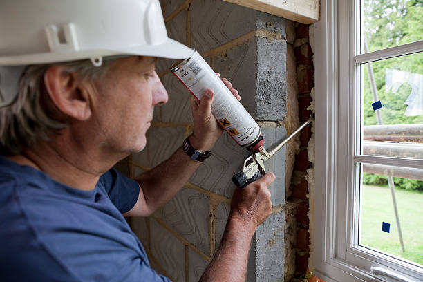 Best Local Insulation Services  in Lavalette, WV