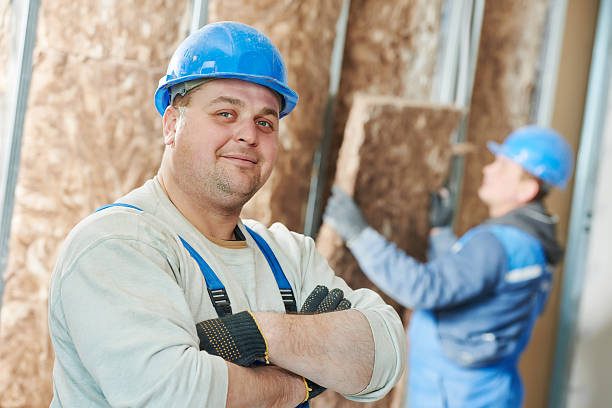 Best Soundproof Insulation Installation  in Lavalette, WV