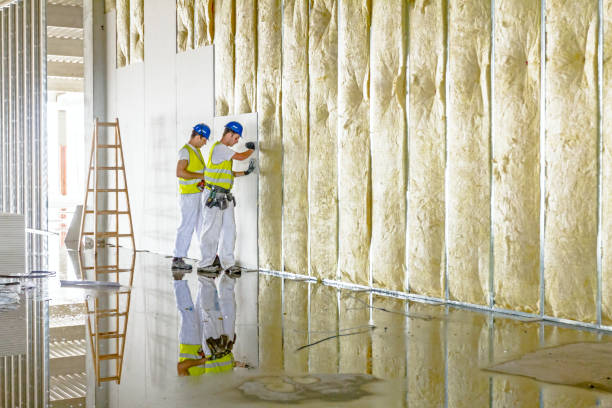 Best Best Insulation Companies  in Lavalette, WV